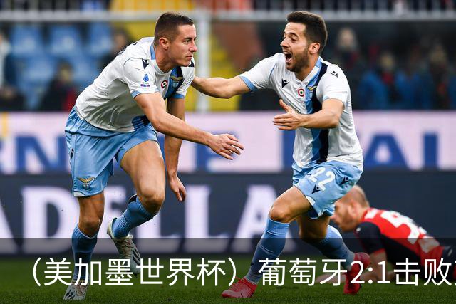 （美加墨世界杯）葡萄牙2:1击败克罗地亚 C罗获世界杯淘汰赛首球
